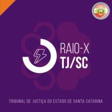  (RAIO X)